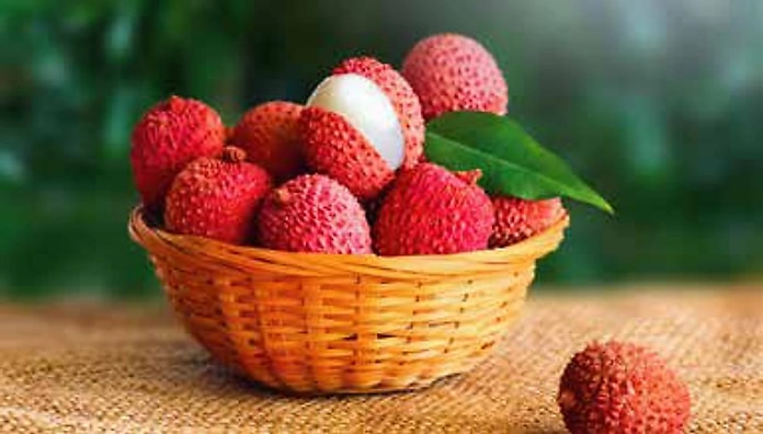 Fresh Fruits