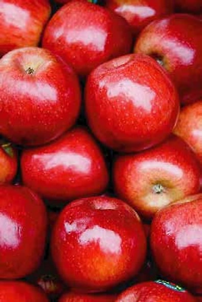 Fresh Fruits