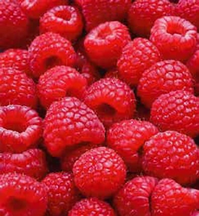 Fresh Fruits
