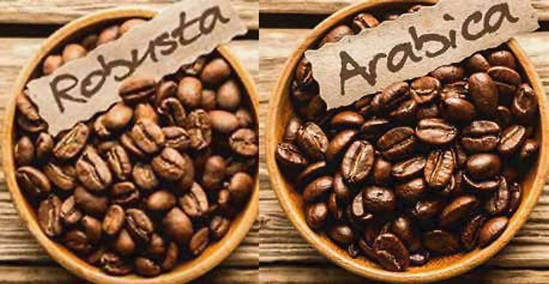 Coffee & Nuts