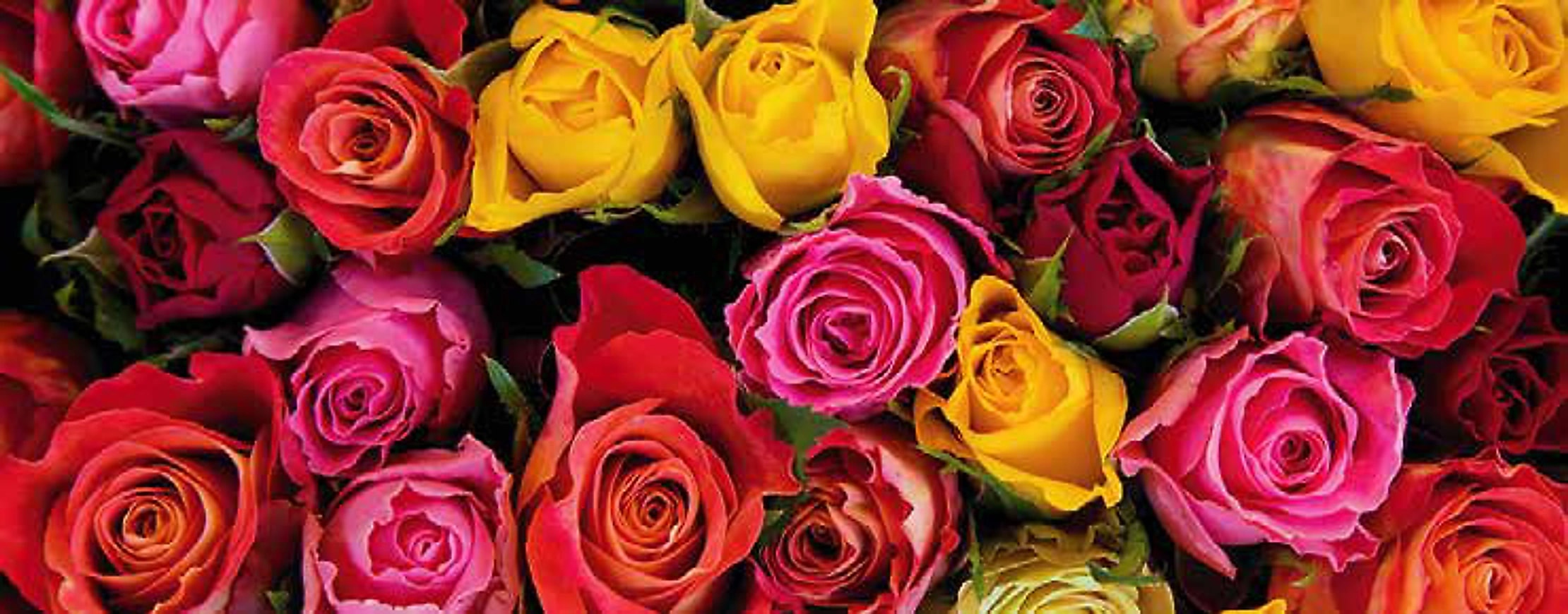 Tea, Roses & Vegetables