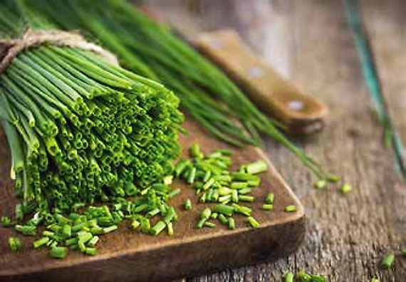 Herbs & Commodities
