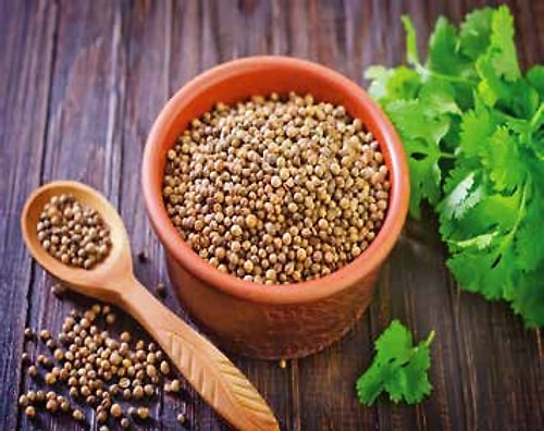 Herbs & Commodities
